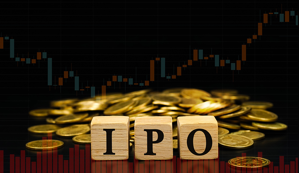 SEBI - IPO